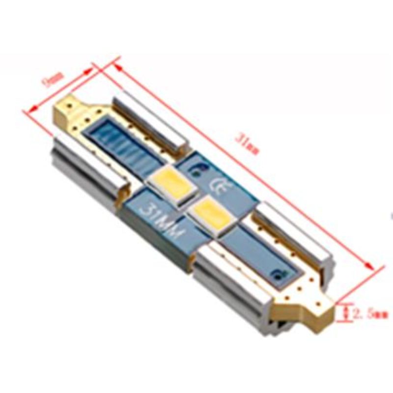 Coppia lampade a led CAN BUS NO ERROR 12 volt SILURO 31MM 2 led alta luminosità 6000k