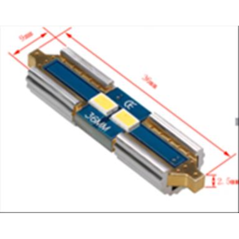 Coppia lampade a led CAN BUS NO ERROR 12 volt SILURO 36MM 2 led alta luminosità 6000k